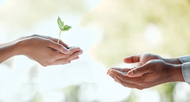 Giving All, as in the Early Church Giving All, as in the Early Church