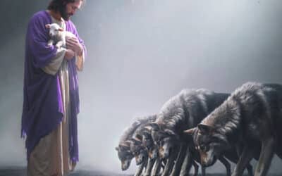 What does the Bible say about socialism?