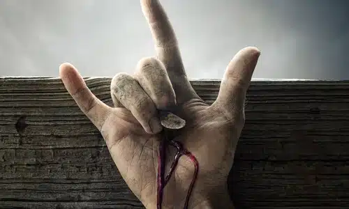 The Cost of Following Jesus Is Everything 500 Jesus did not call admirers. He called disciples. Following Christ costs everything—family, plans, reputation, and life. And absolutely nothing may be reserved.